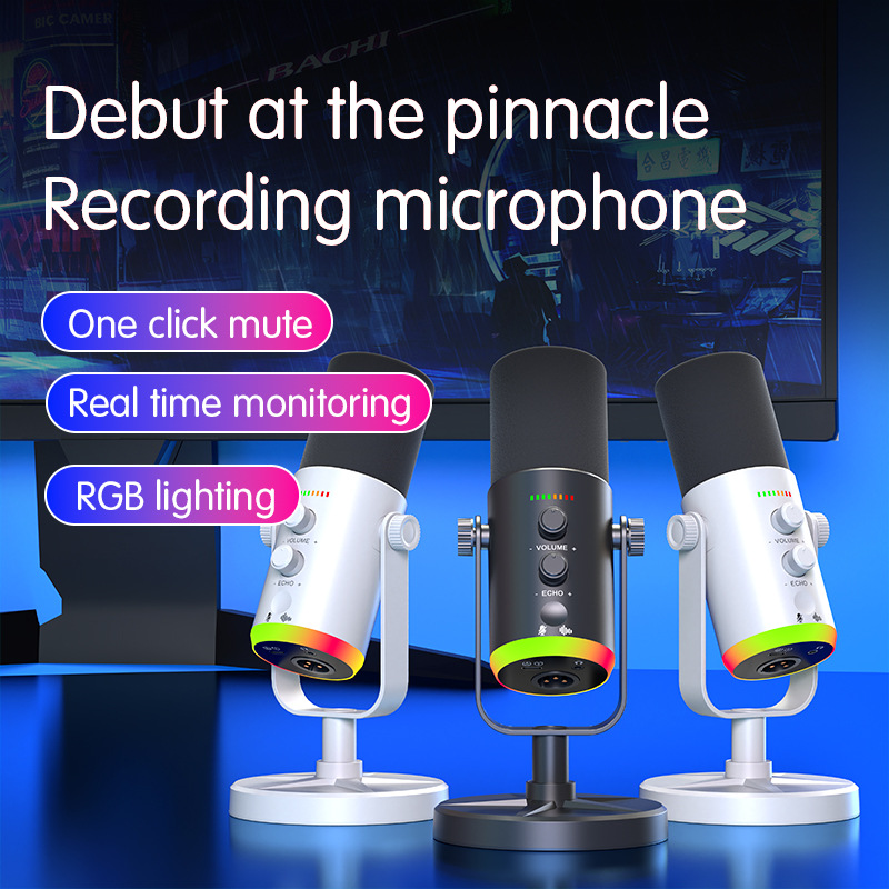 Recording Pop Filter - Gaming Microphone USB/XLR Condenser Mic with