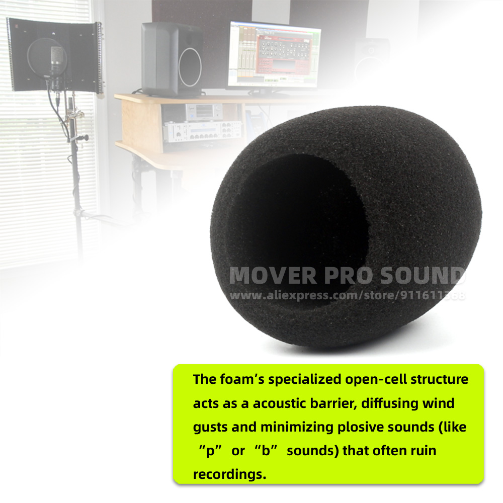 SnapVox Compatible With ZOOM H - Recording Pop Filter recension och pris